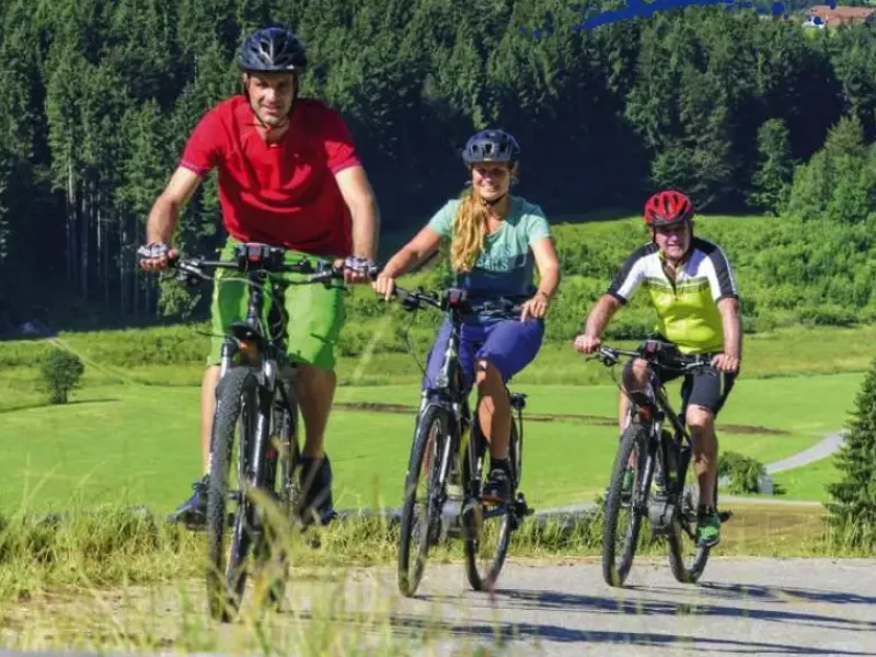 ebike